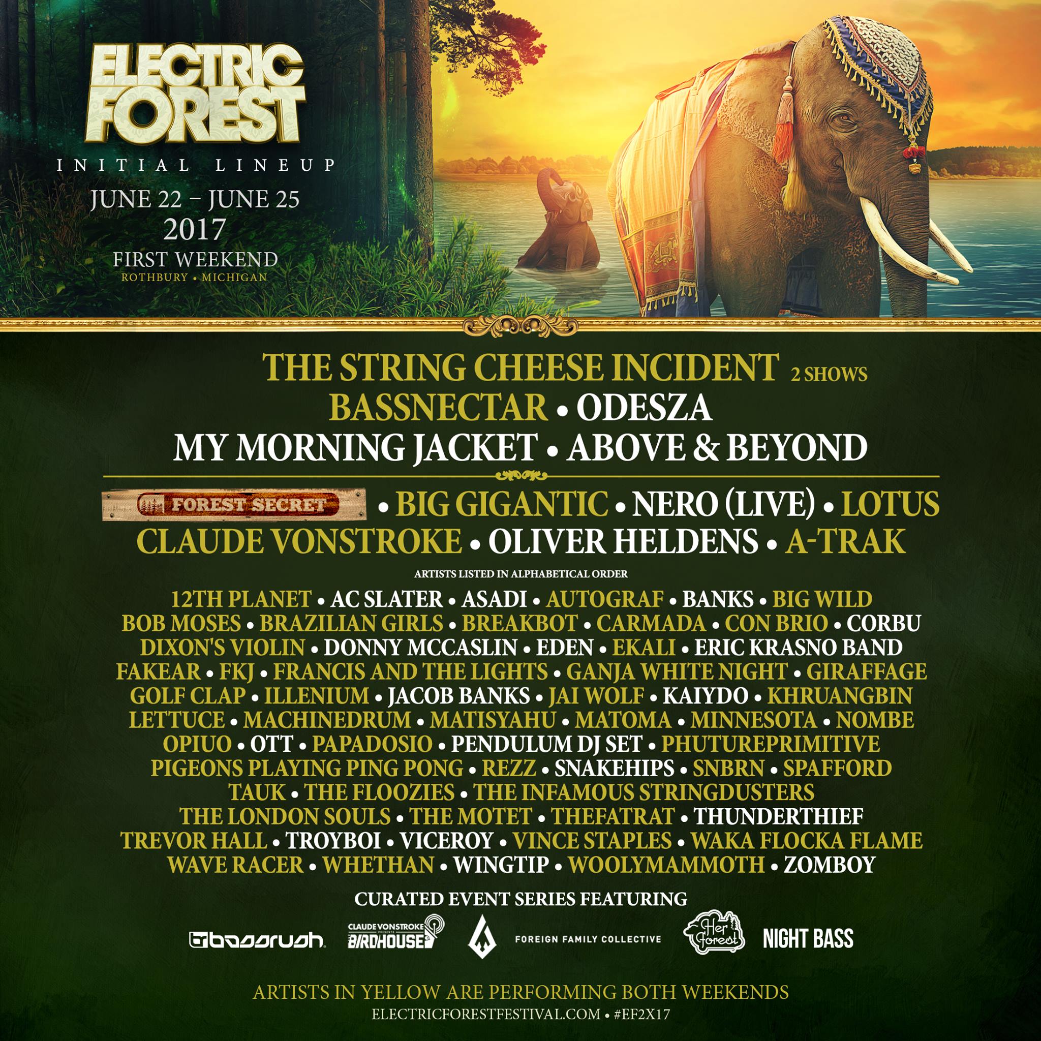 electricforest1
