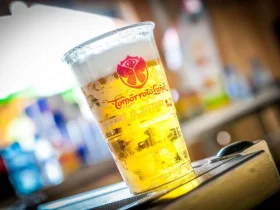 gobelets jetables durant tomorrowland